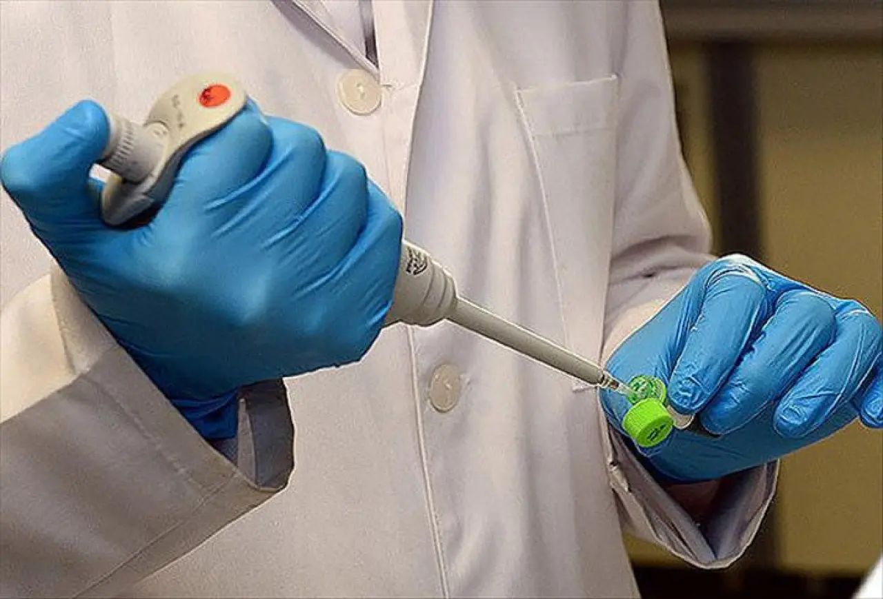 Ölümcül Tehlike Kapıda: Hantavirüs'e Dikkat! Hantavirüs Nedir? Belirtileri, Tedavisi ve Korunma Yöntemleri 4