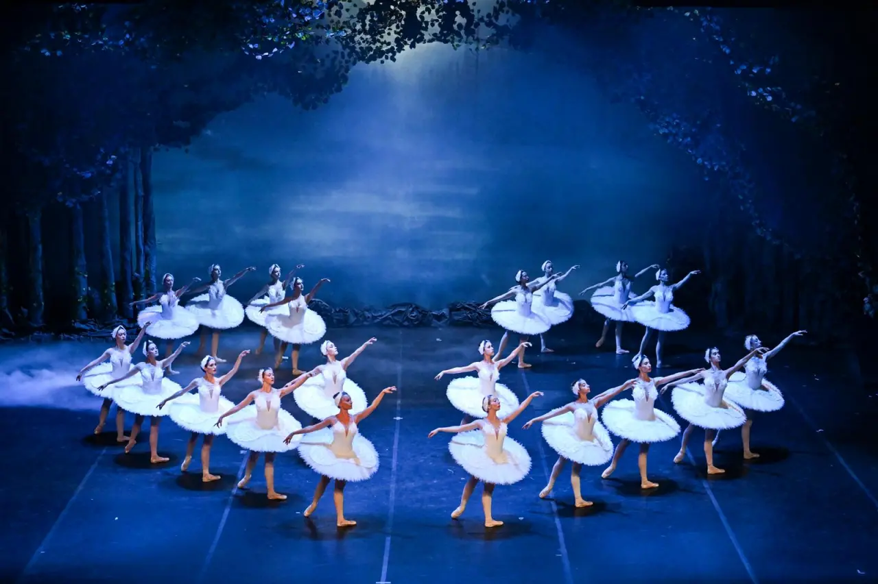 Türkiye sanatta altın çağını yaşıyor: Rekorlar kırıldı, yeni hedefler yolda! 4