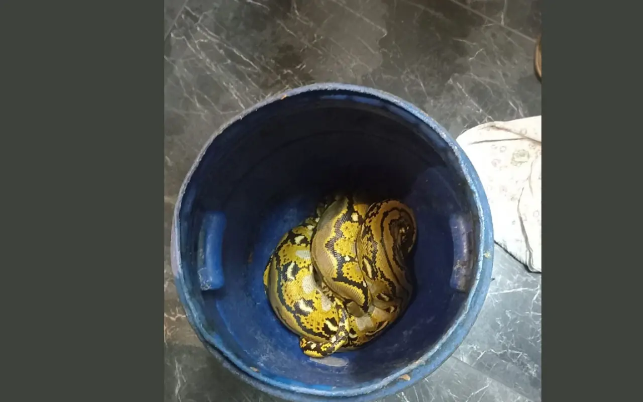 Otobüste nefes kesen anlar! Kartondan çıkan şey polisleri şoke etti 1