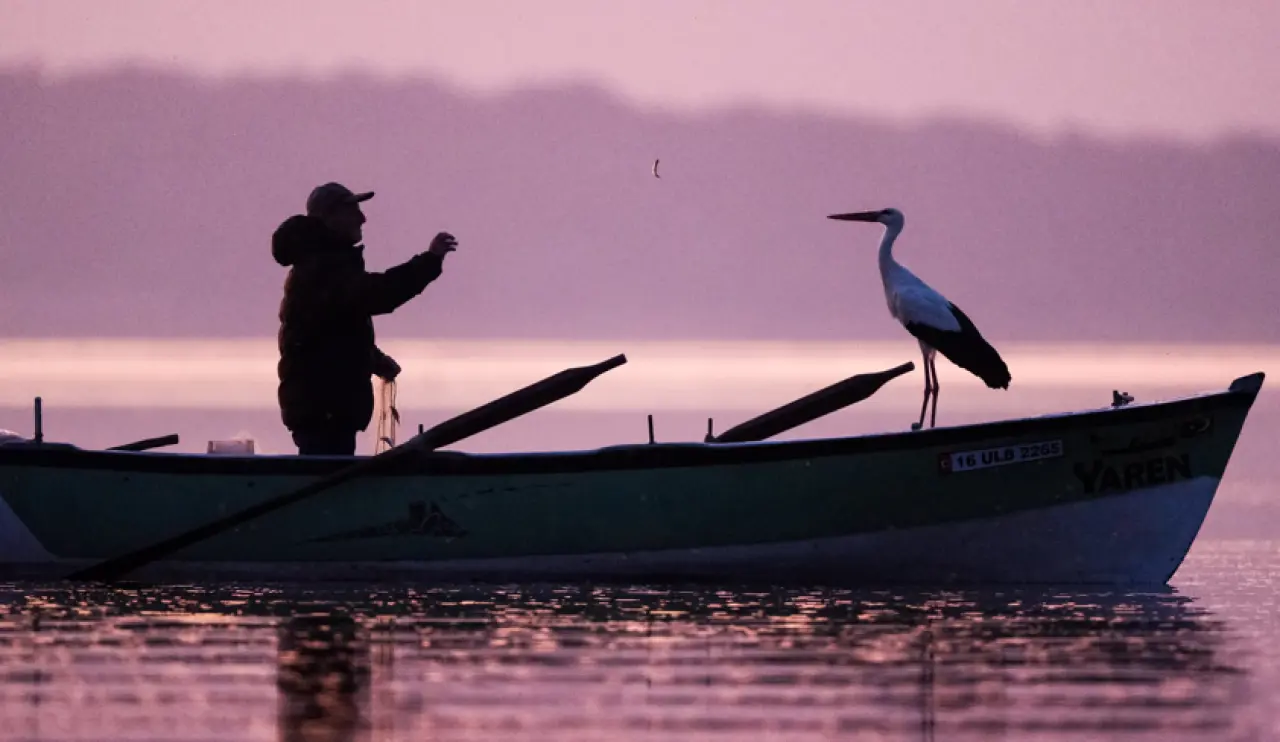 Yaren Leylek 14. Kez Döndü! Balıkçı Adem'le Unutulmaz Buluşma 1
