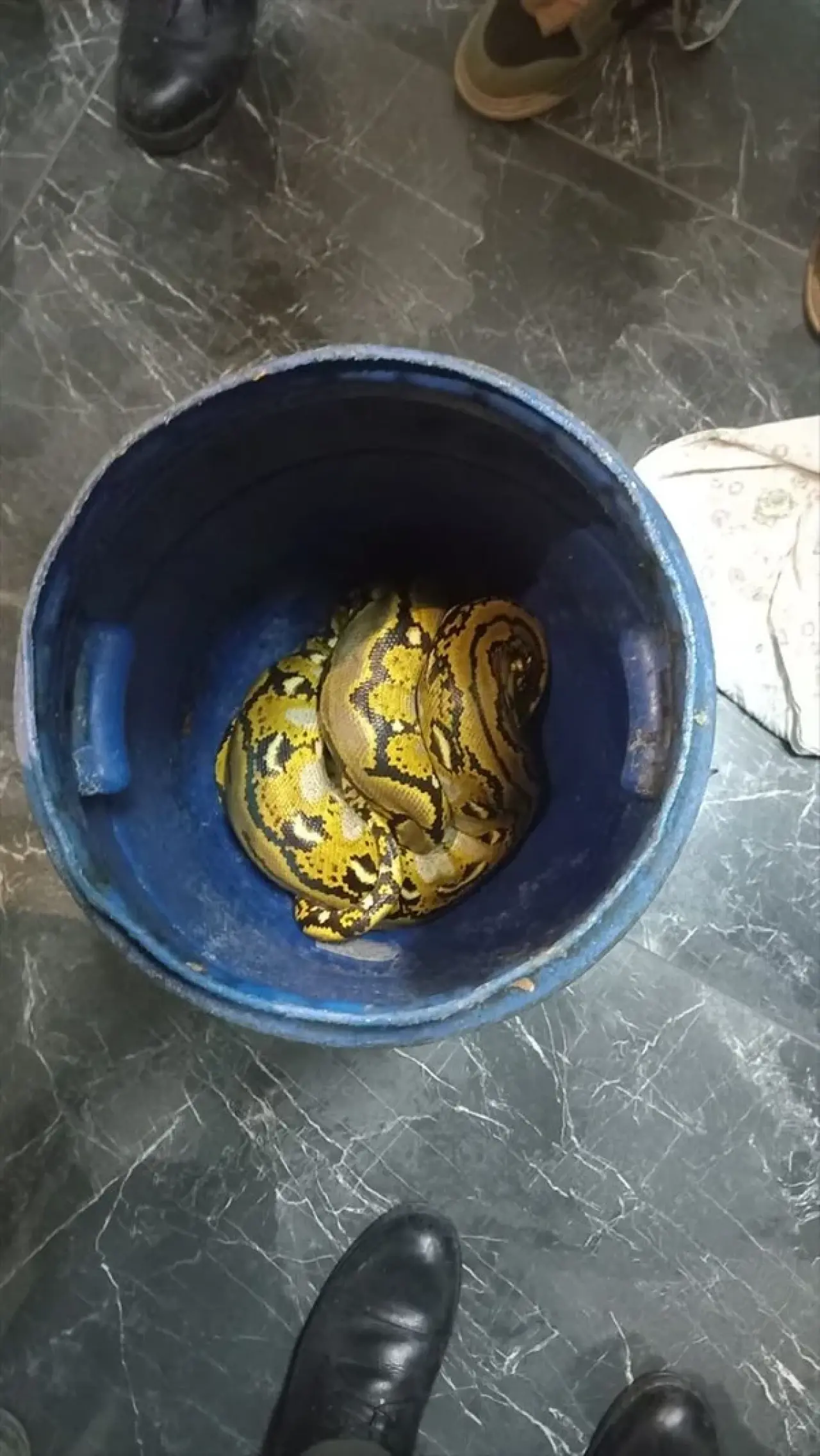 Otobüste nefes kesen anlar! Kartondan çıkan şey polisleri şoke etti 4