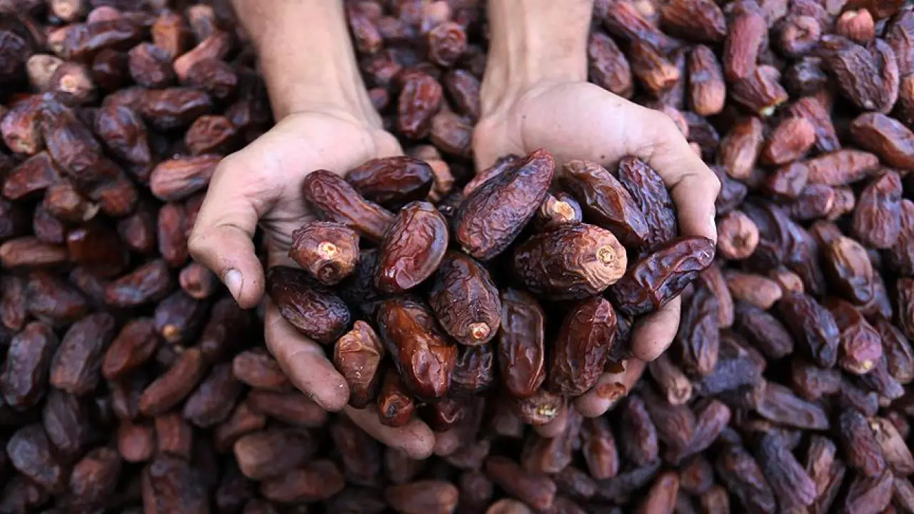 Oruç Tutarken Zorlananlar Dikkat! Bu 10 Mucizevi Taktikle Açlık ve Halsizlik Tarihe Karışıyor! 6