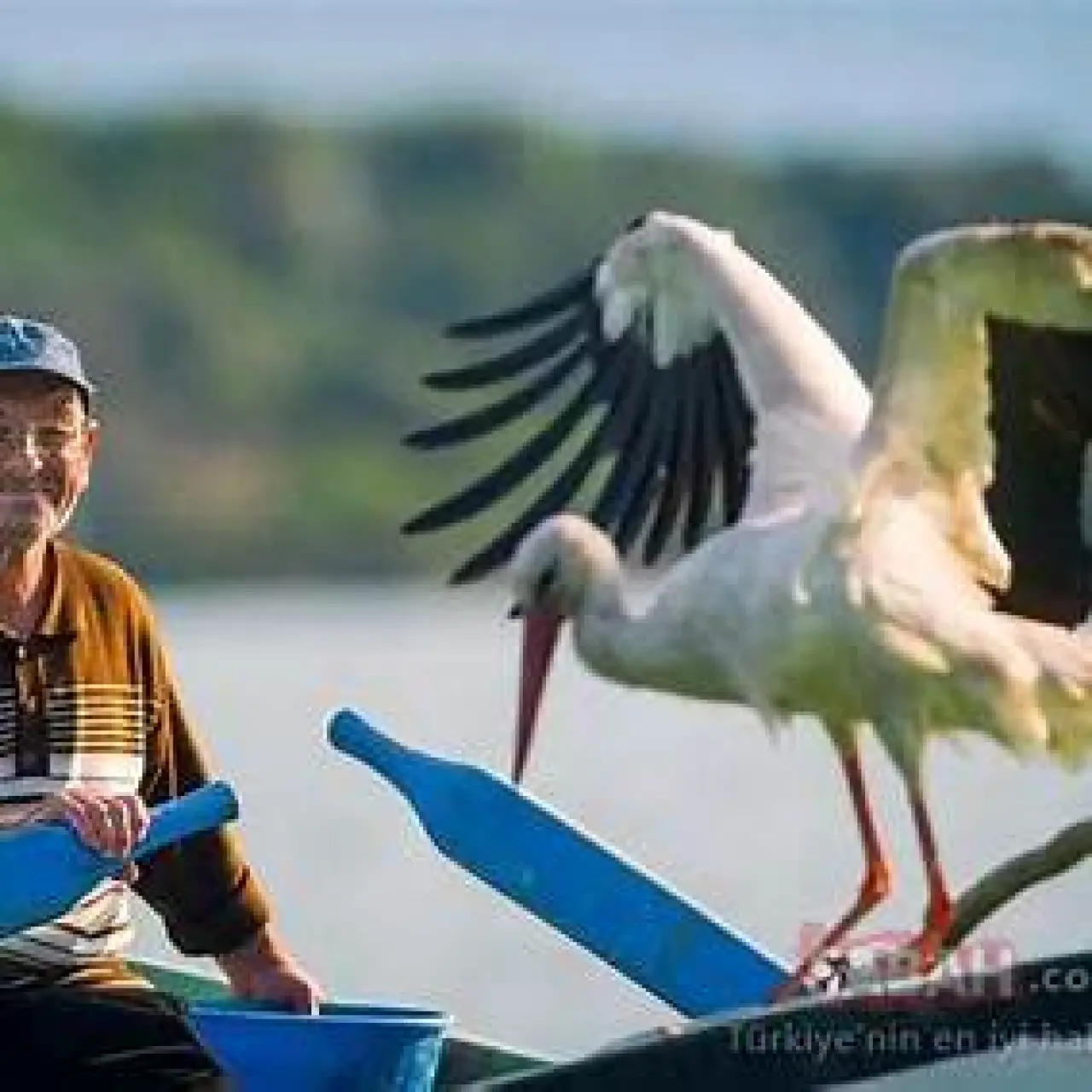 Ahmet Amca'nın 13 Yıllık Dostluğu Tehlikede Mi? Yaren Leylek Bu Yıl Neden Gelmedi? 3