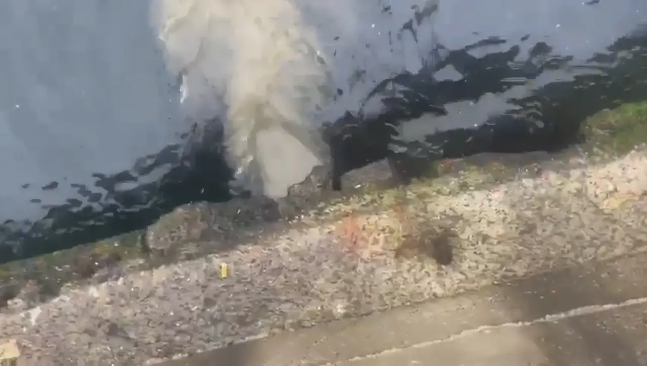 Marmara Denizi'nde kirlilik alarmı! İSKİ'ye ağır ceza 2