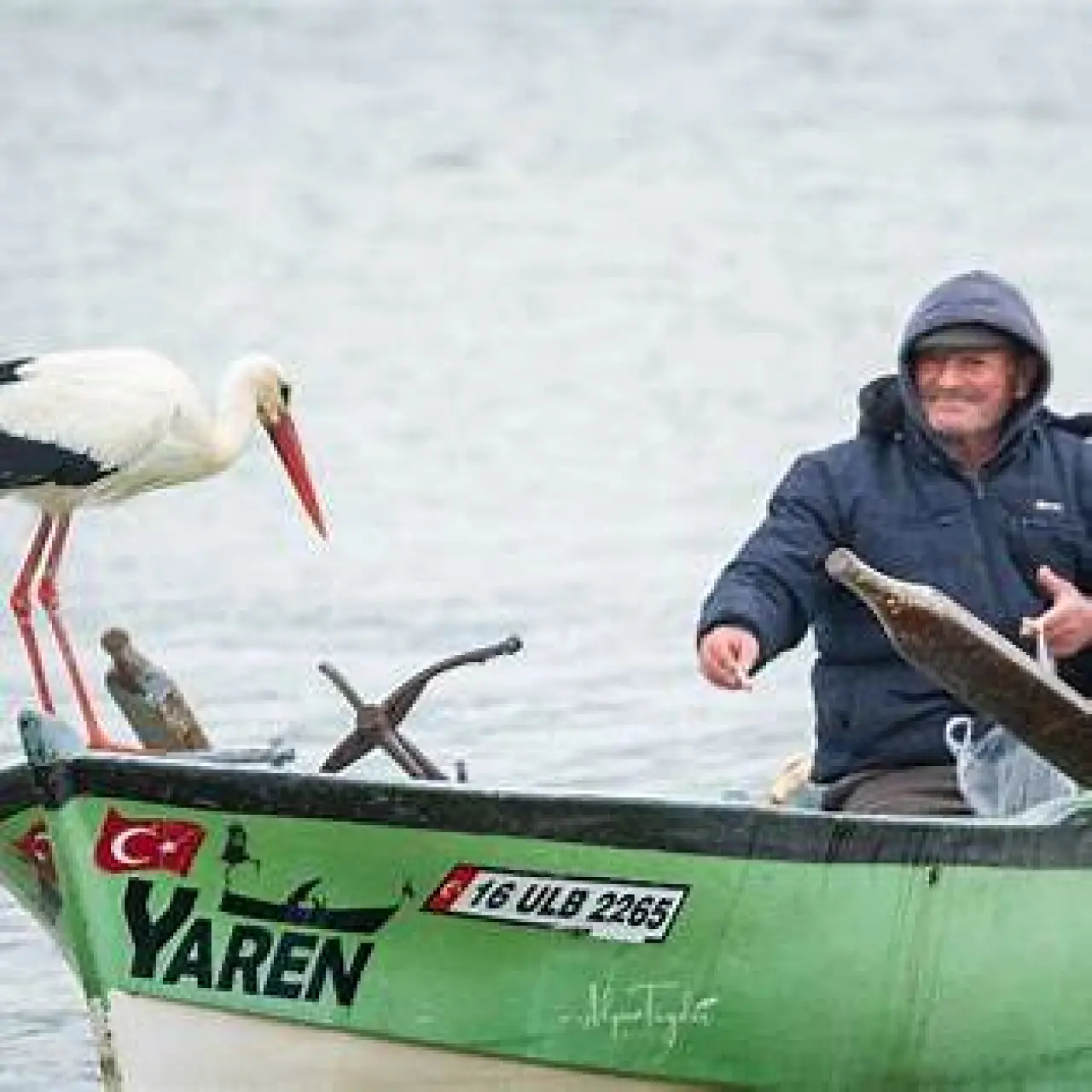Ahmet Amca'nın 13 Yıllık Dostluğu Tehlikede Mi? Yaren Leylek Bu Yıl Neden Gelmedi? 1