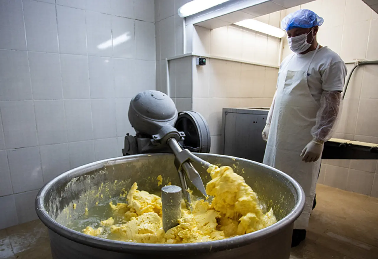 Sağlıklı Yağ Seçimi: Tereyağı mı, Bitkisel Yağ mı? Uzmanlar Hangi Yağı Tavsiye Ediyor ve Hangi Yağlar Uzun Ömür Sağlıyor 5