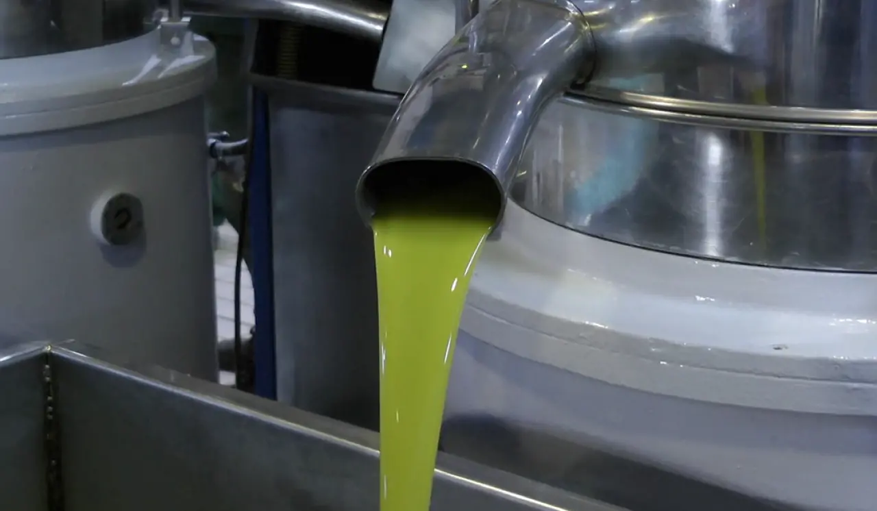 Zeytinyağı Nasıl Saklanmalı, Tenekede Zeytinyağı Saklamak Zararlı mı? Bilimsel Uyarı Geldi 5