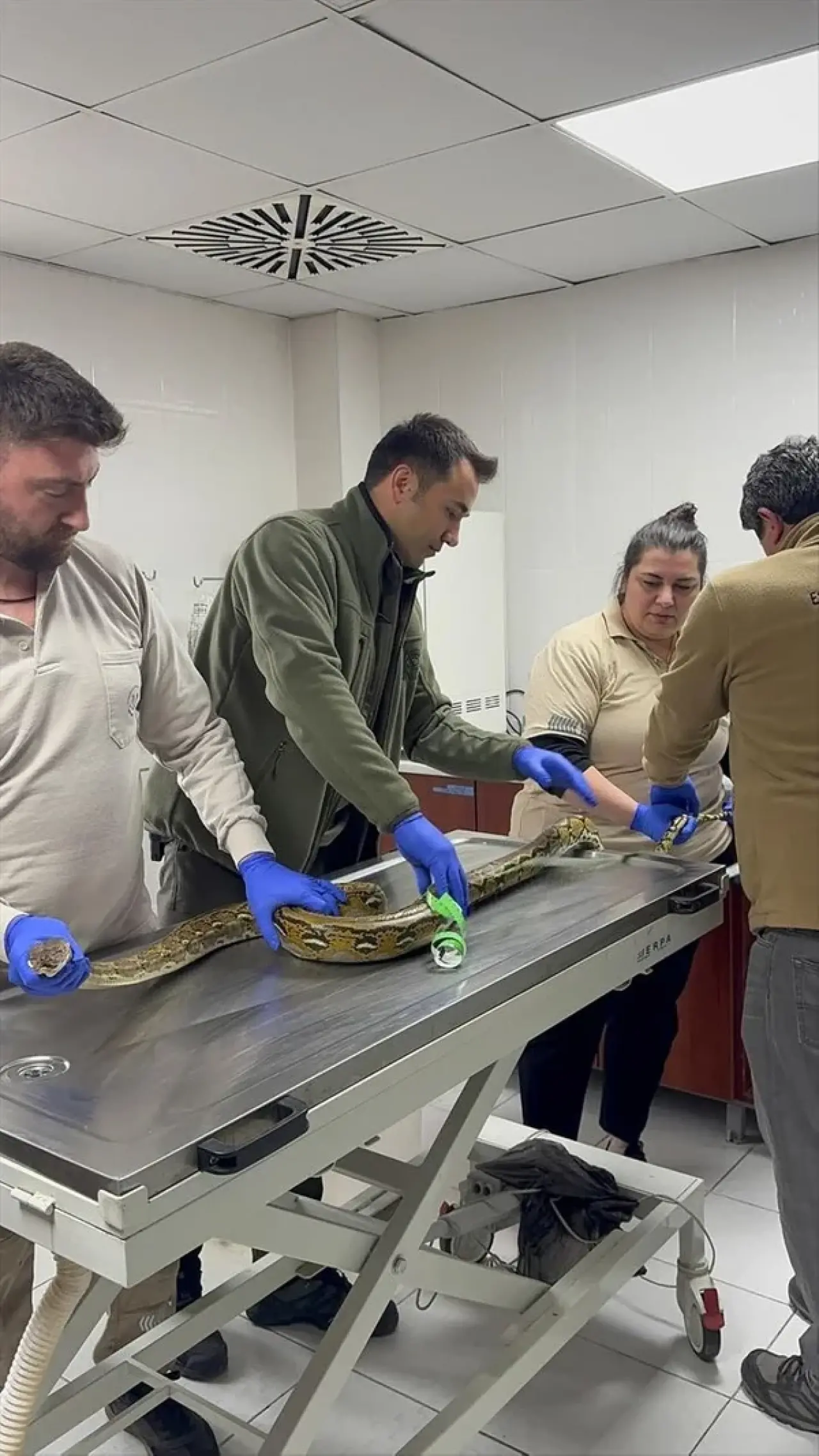 Otobüste nefes kesen anlar! Kartondan çıkan şey polisleri şoke etti 2