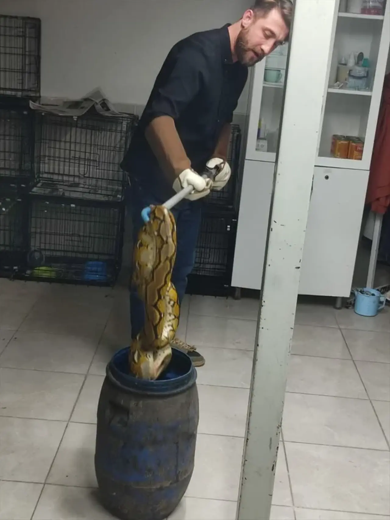 Otobüste nefes kesen anlar! Kartondan çıkan şey polisleri şoke etti 3