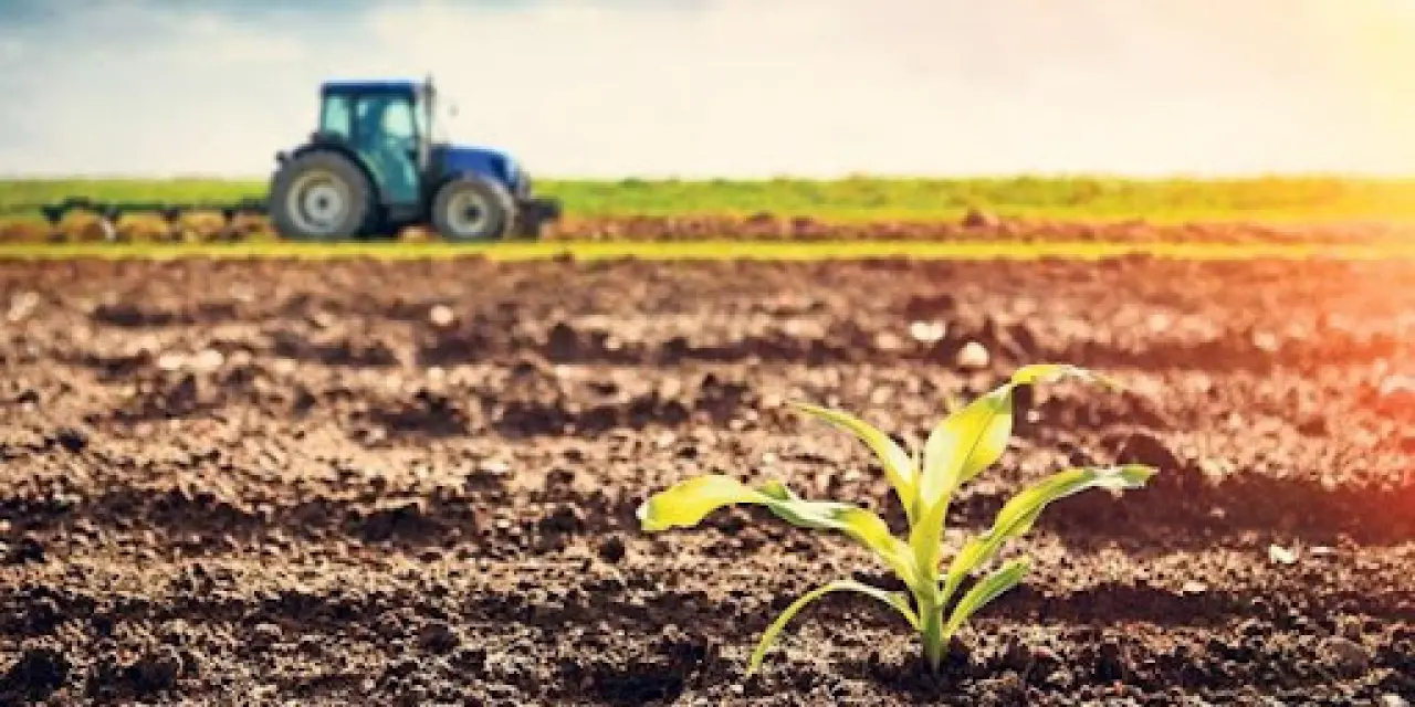 Mehmet Şimşek Açıkladı:Türkiye Tarımda Zirvede! Avrupa Lideri, Dünya Devleri Arasında 4