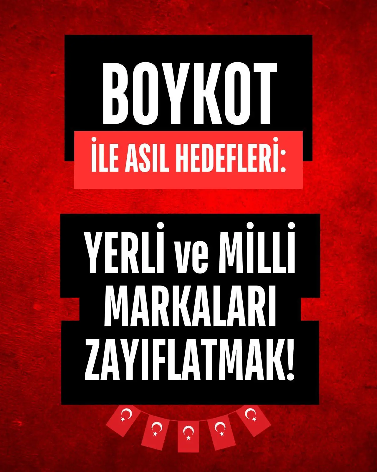 Boykot Kılıfıyla Vurulan: Ekonomi, Birlik, Beraberlik ve Türkiye Yuzyılı 11