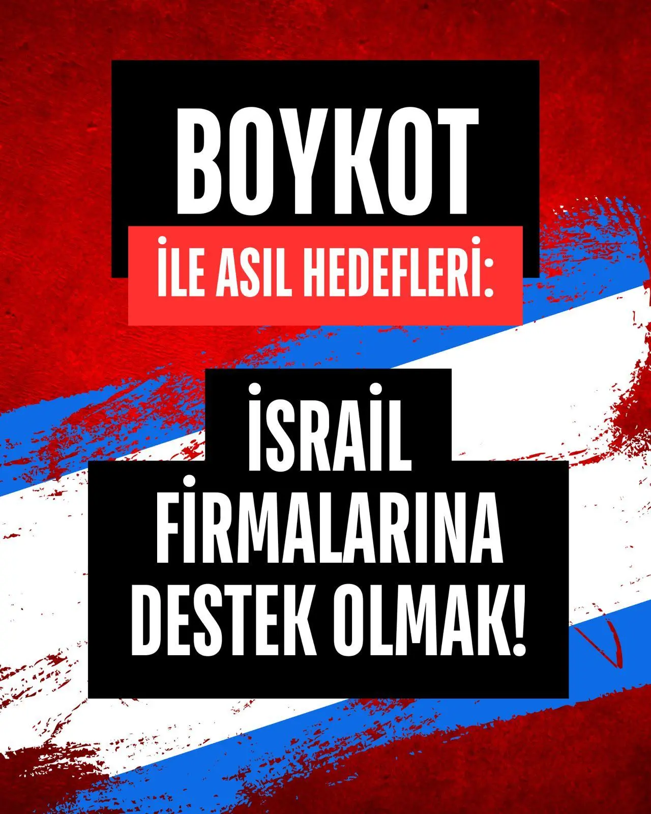 Boykot Kılıfıyla Vurulan: Ekonomi, Birlik, Beraberlik ve Türkiye Yuzyılı 6