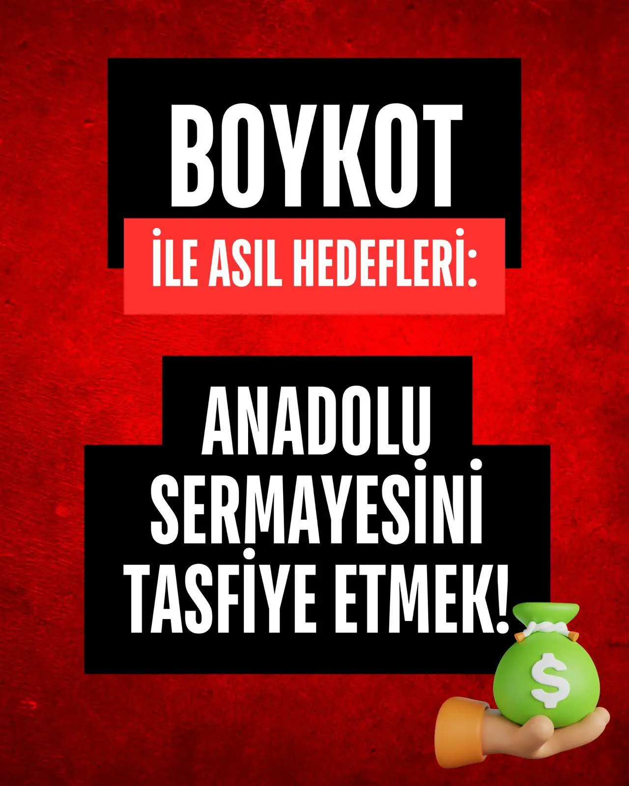 Boykot Kılıfıyla Vurulan: Ekonomi, Birlik, Beraberlik ve Türkiye Yuzyılı 12