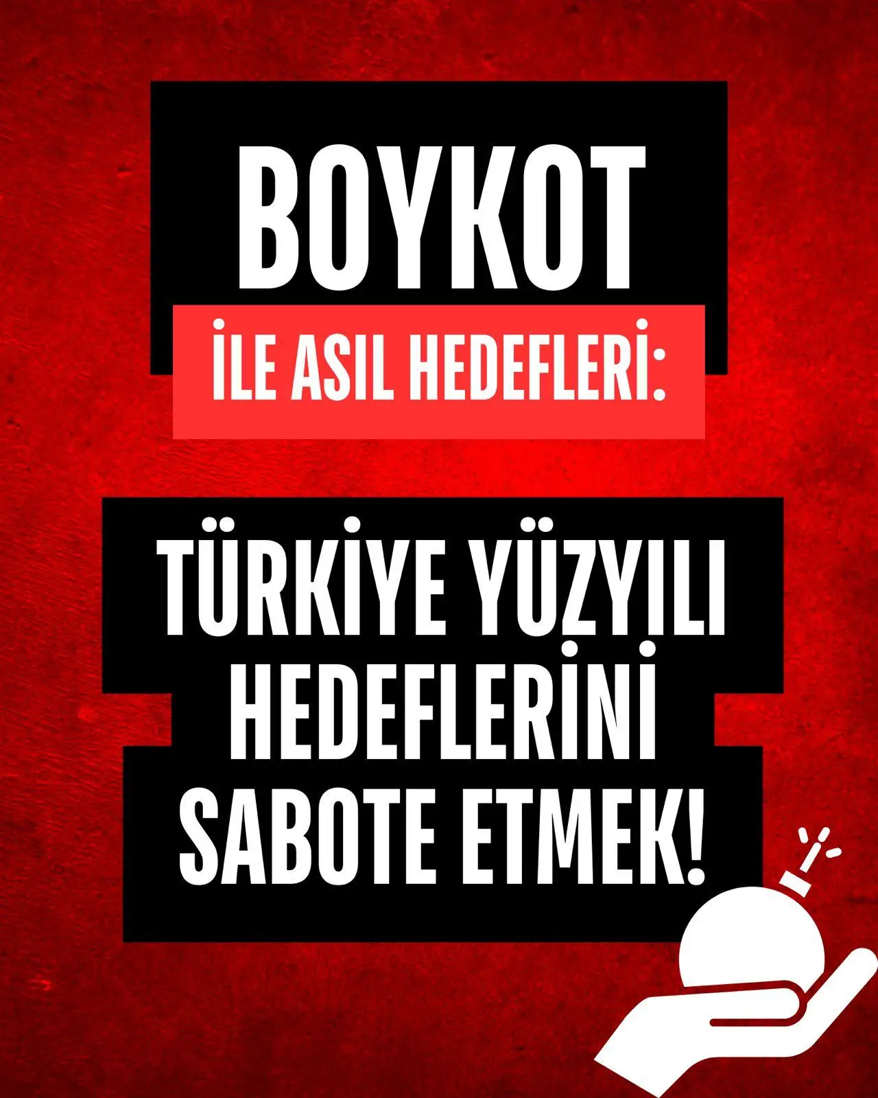 Boykot Kılıfıyla Vurulan: Ekonomi, Birlik, Beraberlik ve Türkiye Yuzyılı 24