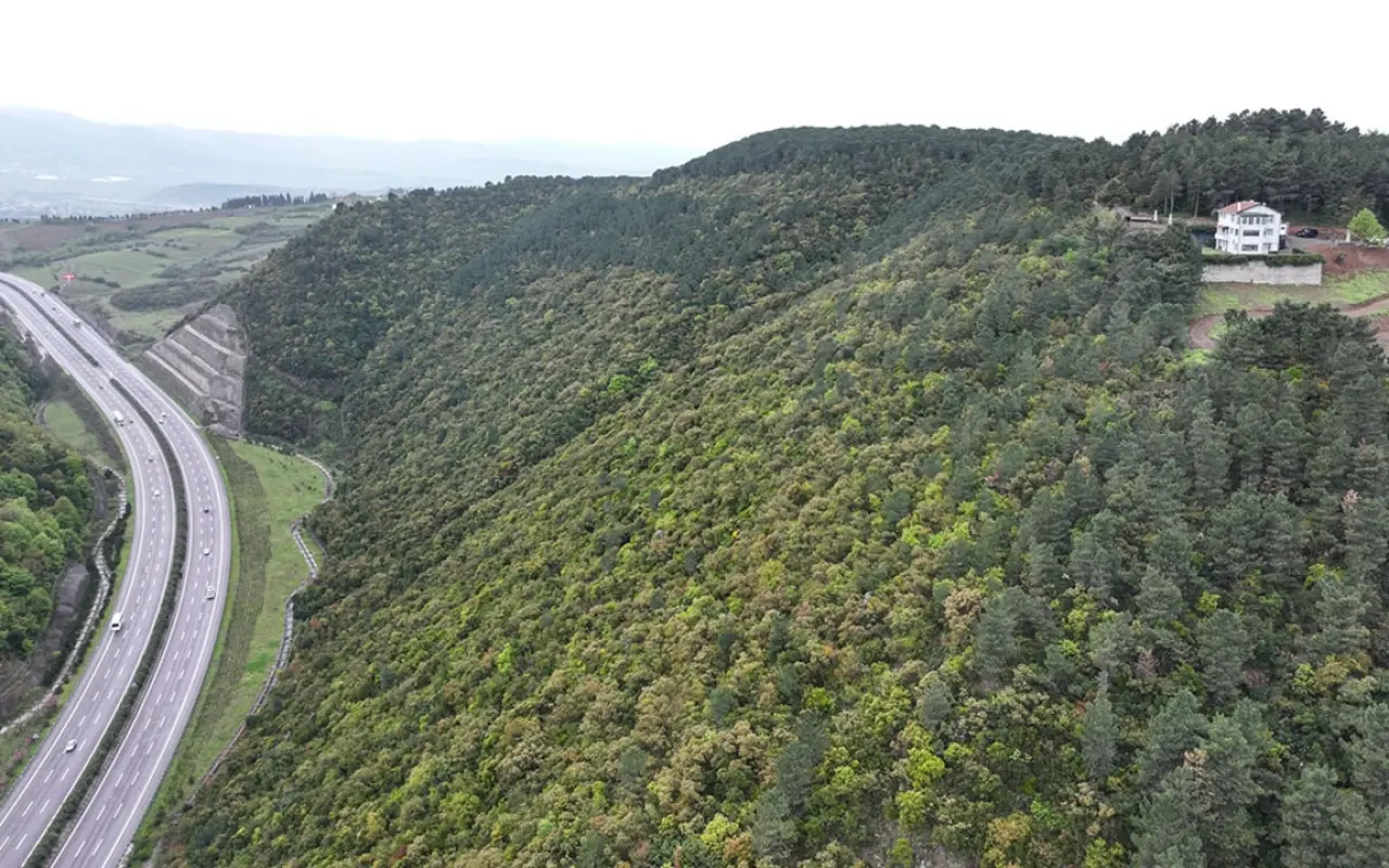 Sosyal medyada meşhur olan o ev artık sizin olabilir! 1