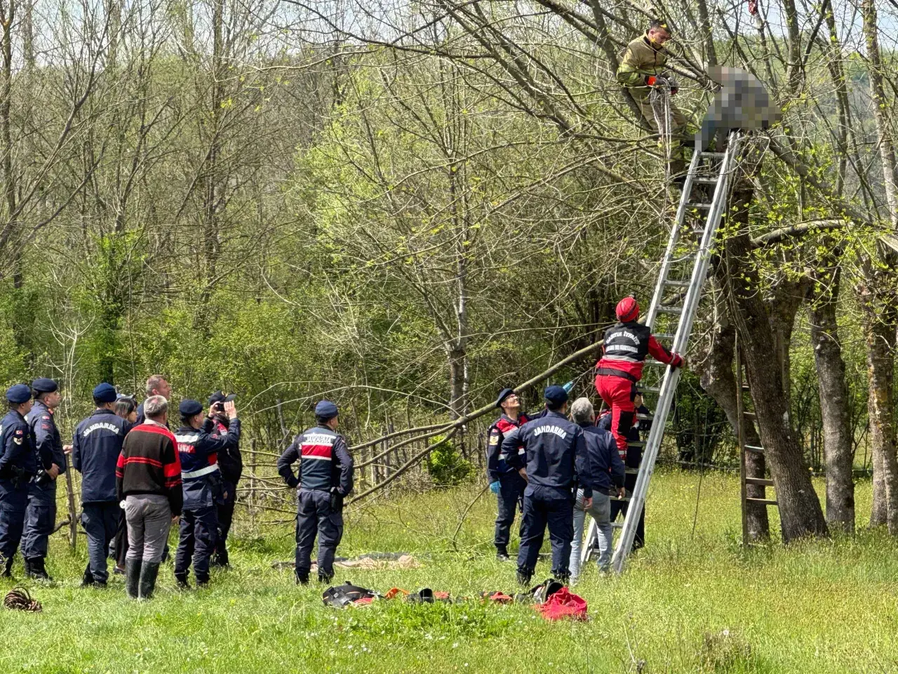 Oğlu yardıma koştu ama geç kaldı: Ağaçta hayatını kaybetti! 2