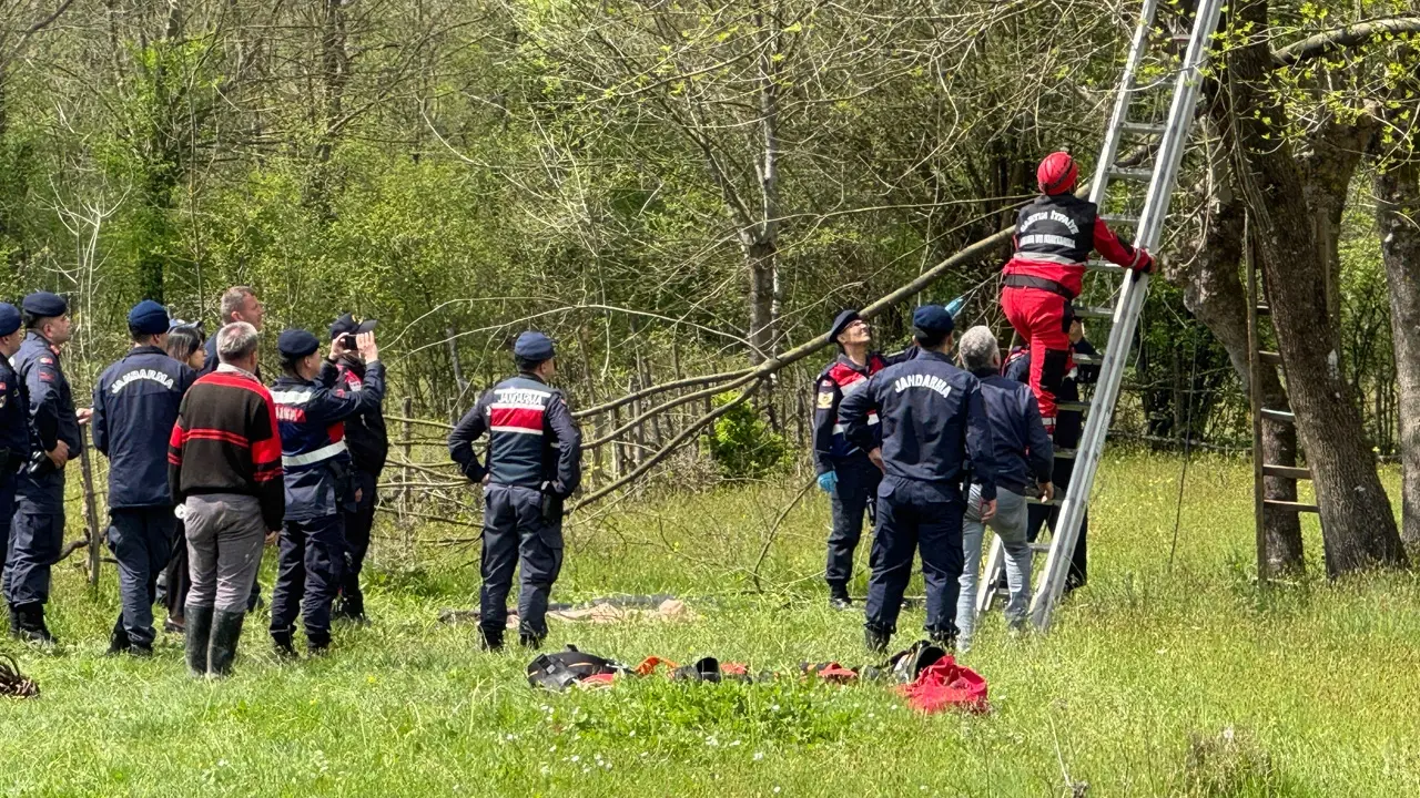 Oğlu yardıma koştu ama geç kaldı: Ağaçta hayatını kaybetti! 1