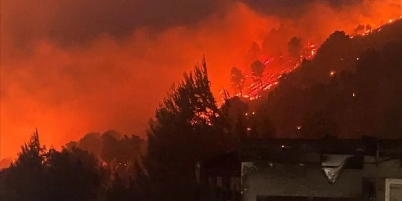 İsrail Yardım Çağrısı Yaptı: Kudüs'teki Dev Yangın Kontrolden Çıktı 1