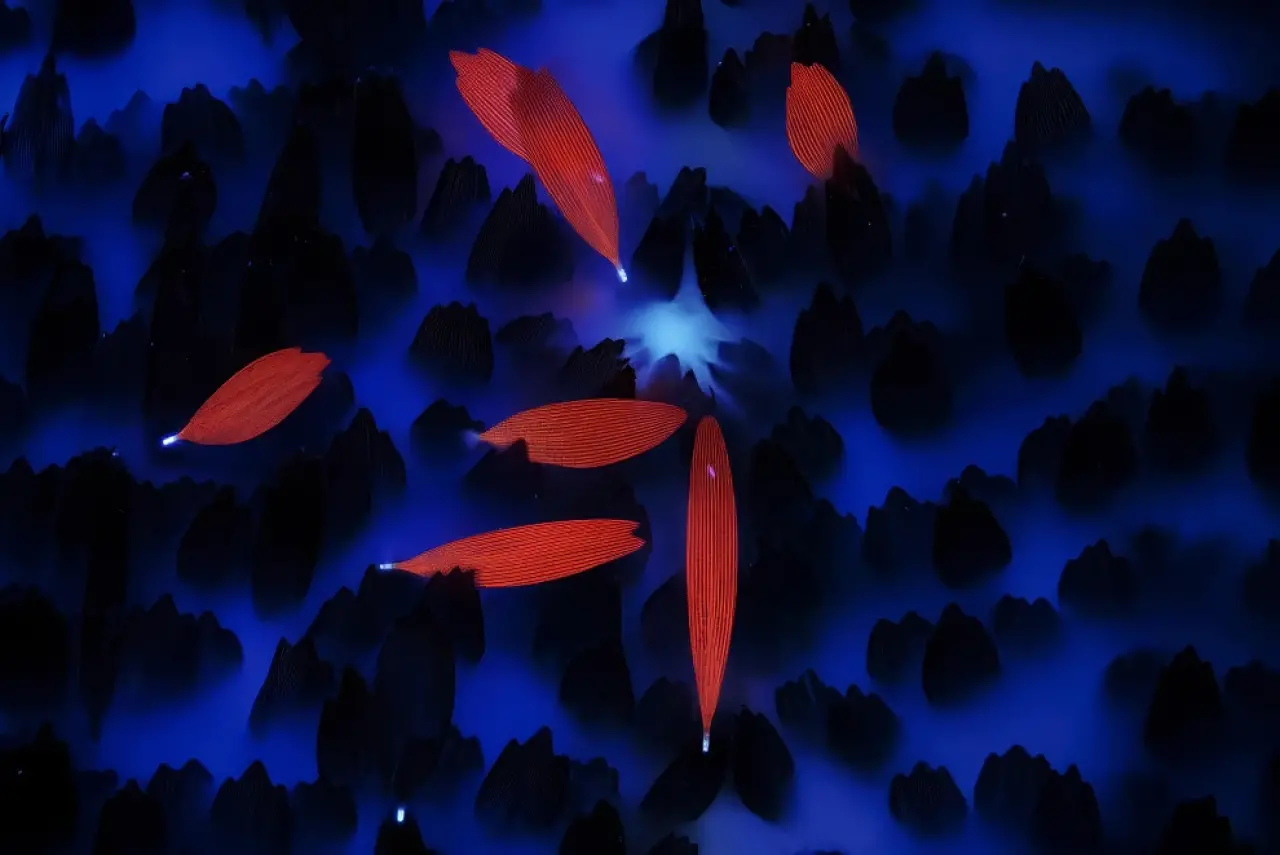 Ödüllü Makro Fotoğraflar: 2025 Britanya Vahşi Yaşam Fotoğrafçılığı 11