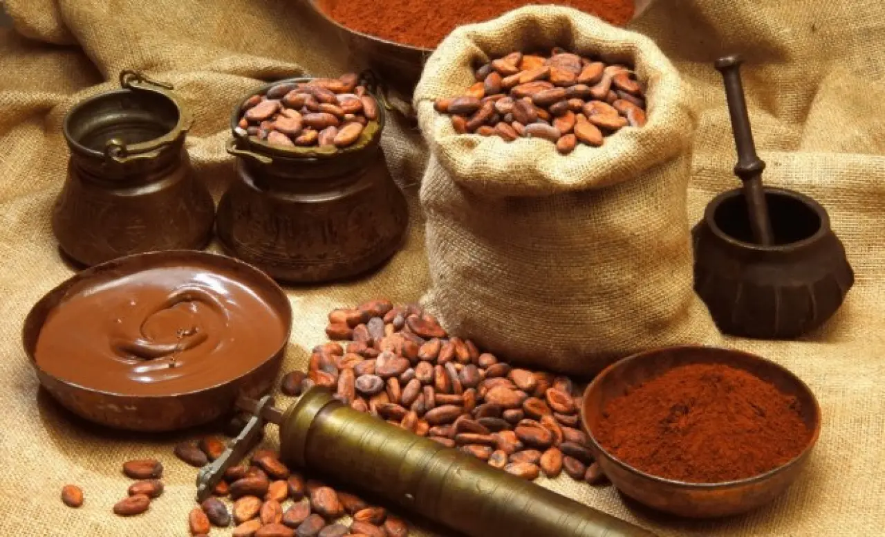 Bir Çekirdeğin 3000 Yıllık Hikayesi 5