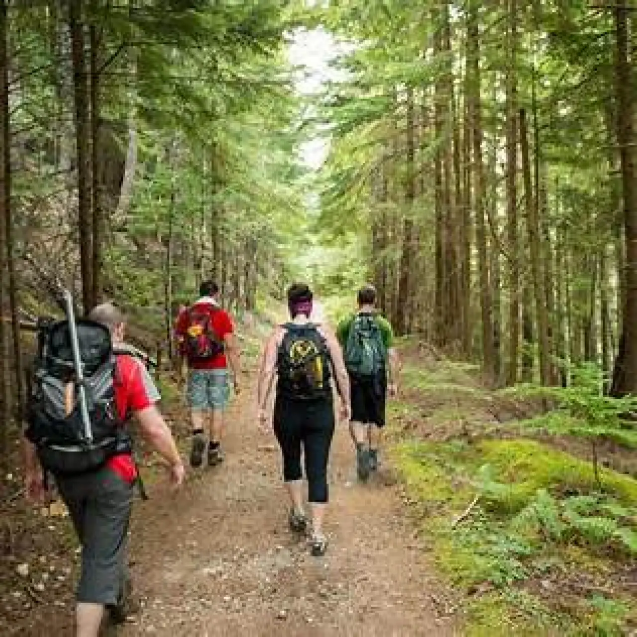 Bilimin Onayladığı Beş Öneri: Mutlu Bir Yaşam İçin Zihninizi Nasıl Güçlendirebilirsiniz? 3