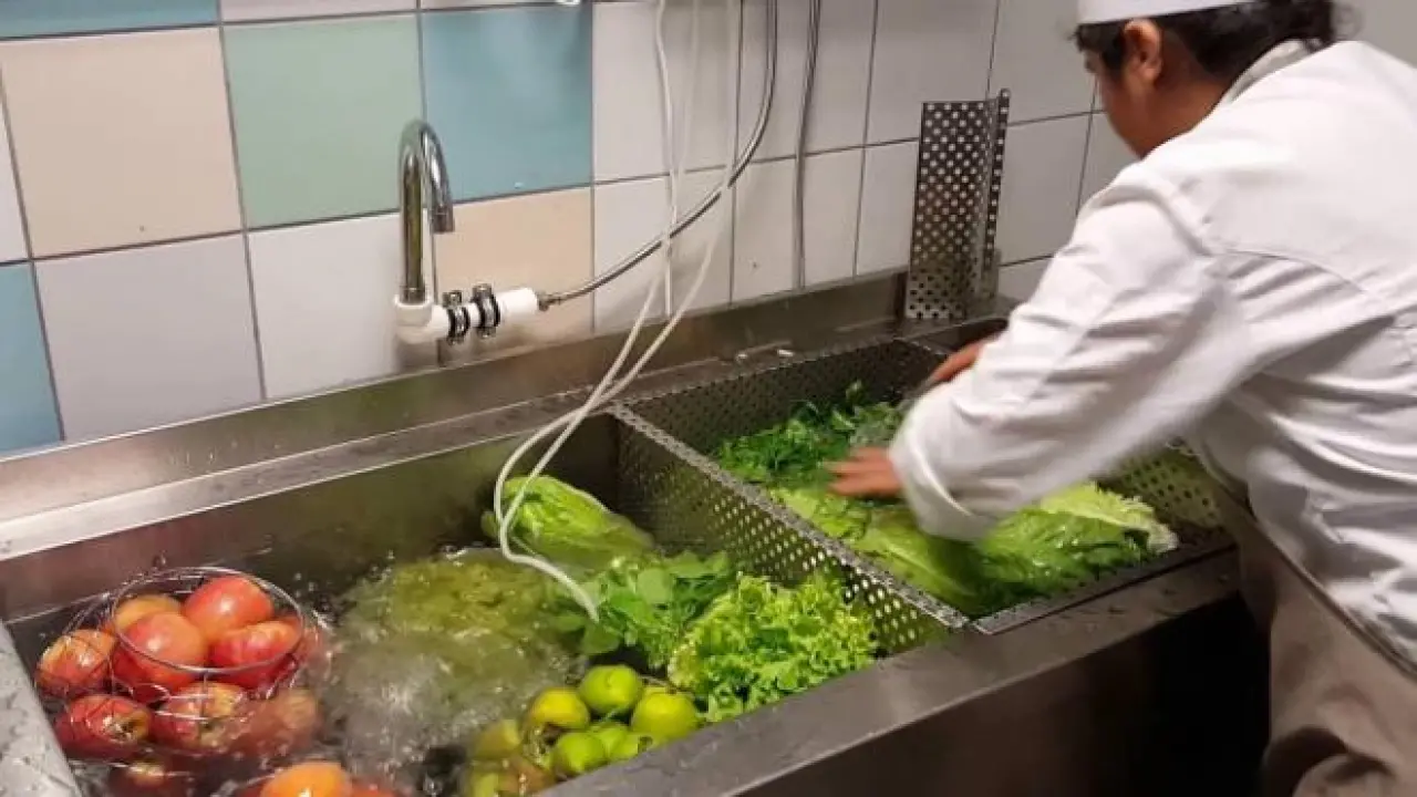 Meyve ve Sebzeleri Yıkamadan Tüketmek Sağlığınızı Tehlikeye Atabilir 2