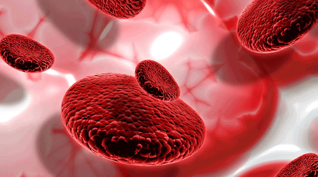 Erken tanı hayati: 8 Mayıs Dünya Talasemi Günü'nde taşıyıcılık testlerinin önemi vurgulandı! 2