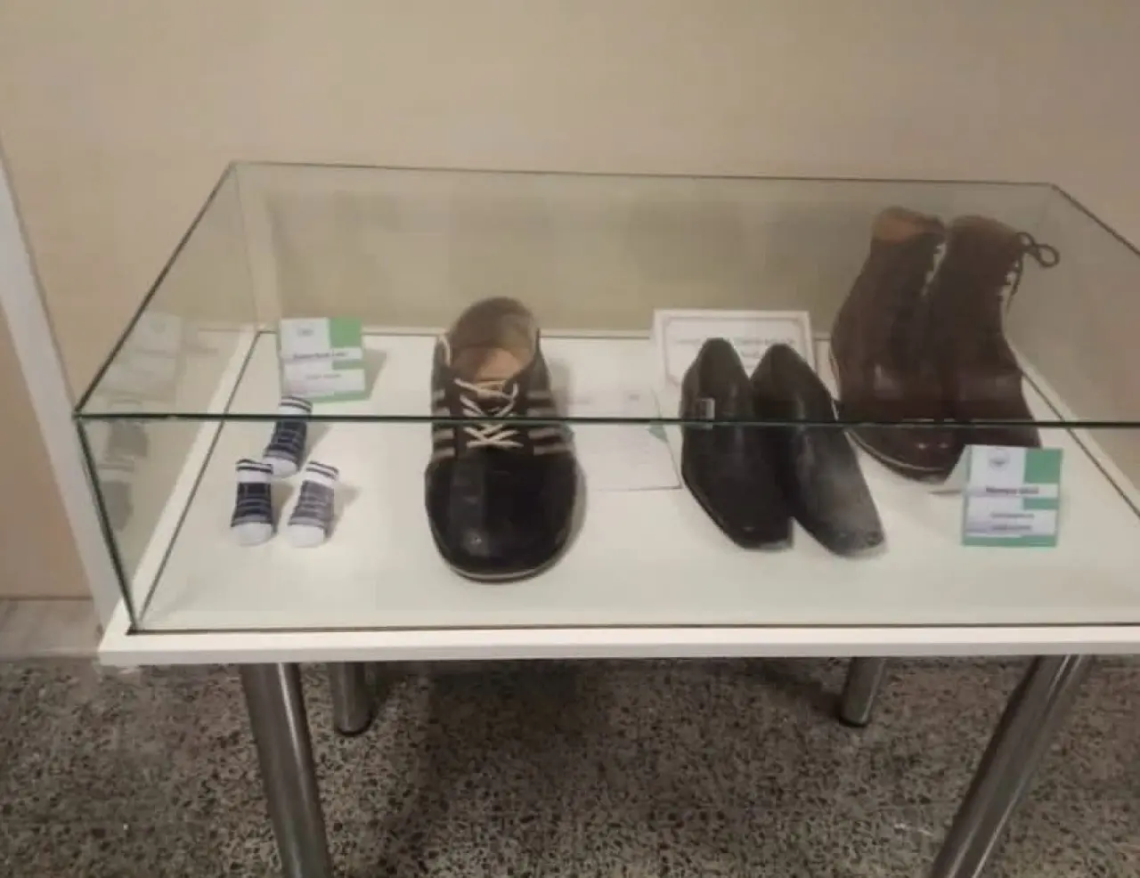 Esmer Kedi Cafer Altın Melek Ödülü’nü Aldı, Patisi Müzedeki Yerini Aldı! 2