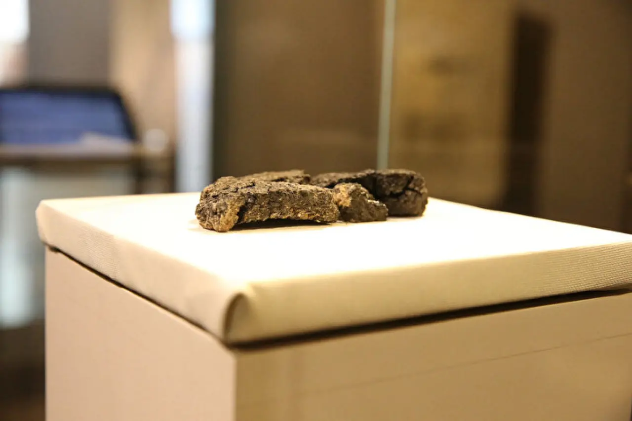 5 Bin Yıllık Tat Yeniden Sofralarda 2