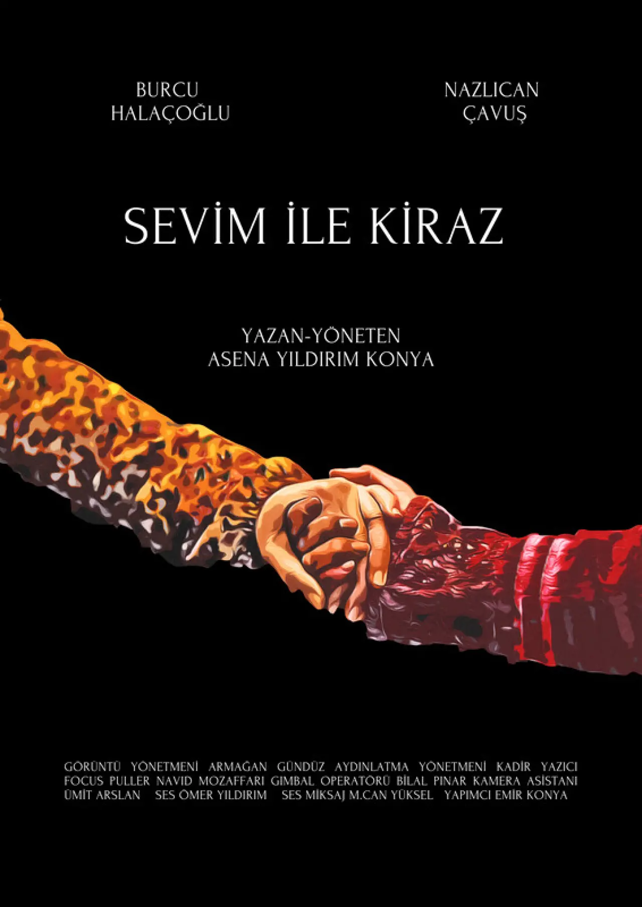 Düzce Film Festivali’nde Finalistler Açıklandı! İşte 1312 Film Arasından Sıyrılanlar 16