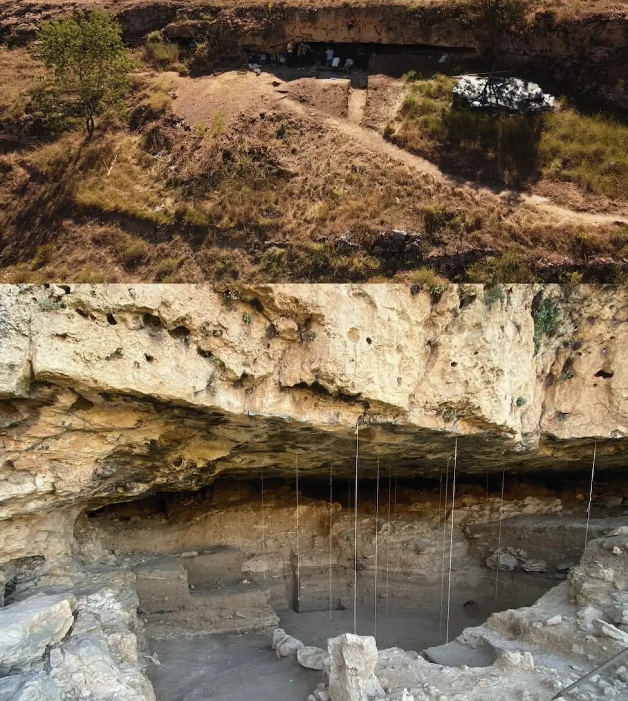 43 bin yıllık parmak izi! Sanat Tarihi sarsıldı 3