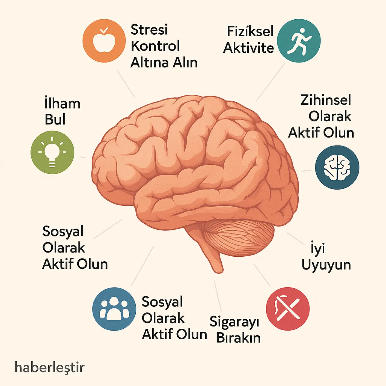 Sağlıklı Beyin İşlevi: Zihinsel Performanstan Fiziksel Sağlığa Etkileri Neler? 3