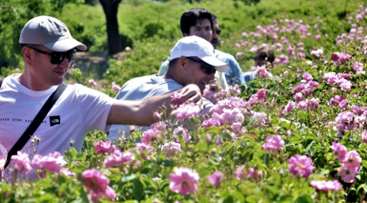 Isparta Gül Festivali’ne Yoğun İlgi 3