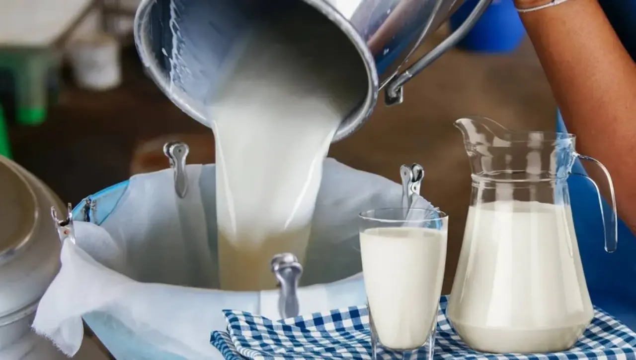 Uzmanlardan çiğ süt uyarısı: Yanlış kaynatma hangi hastalıklara yol açabilir? 2