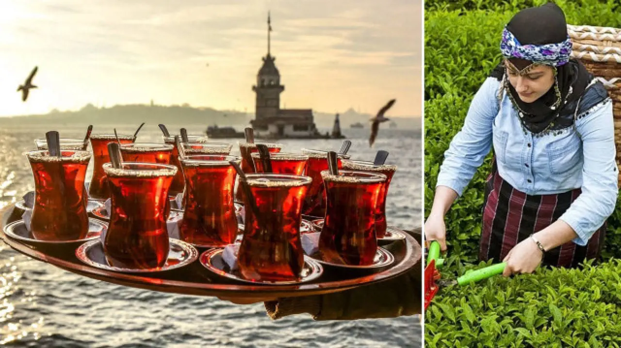 Çayın Sıcak Tarihi: 5000 Yıllık Serüven 6