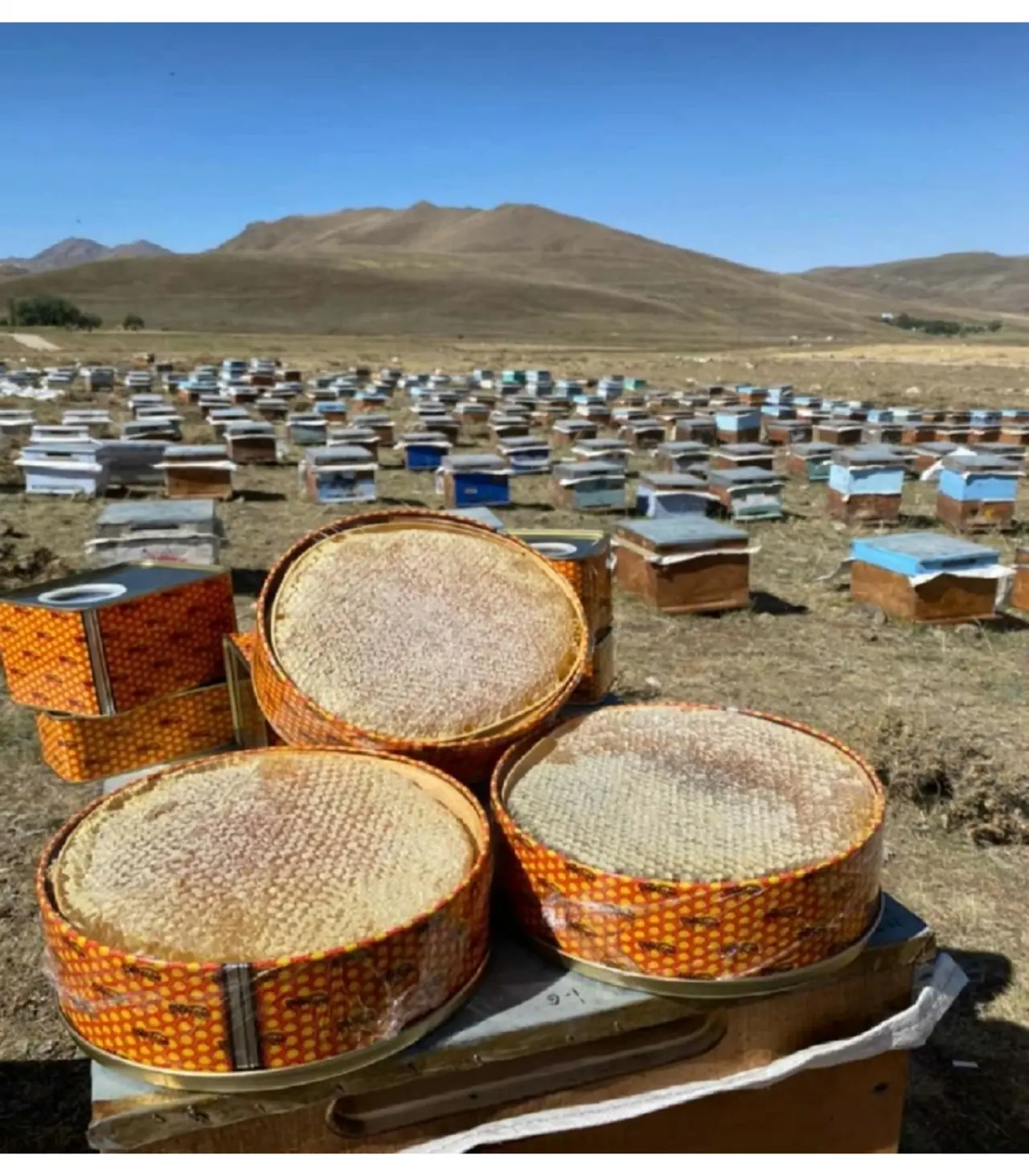 Bal Üreticileri Erzincan’da Sezonu Açıyor 1