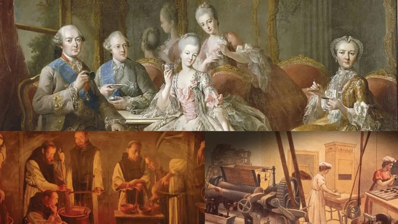 Bir Çekirdeğin 3000 Yıllık Hikayesi 3