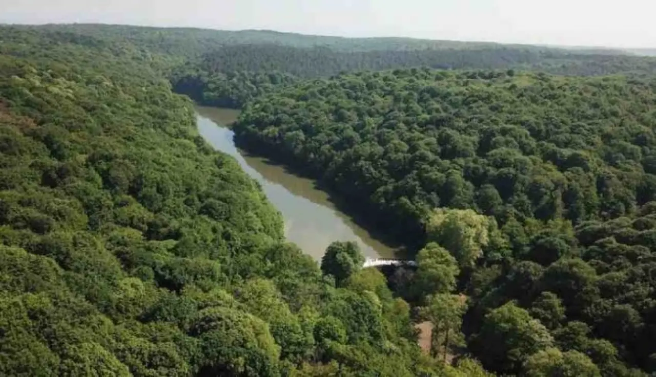 Çanakkale Ormanlarına Giriş Yasaklanıyor mu? 3