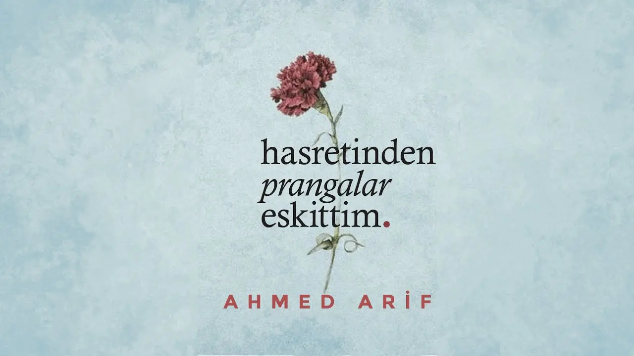 Hasretin Şiir Hâli: Ahmed Arif 2