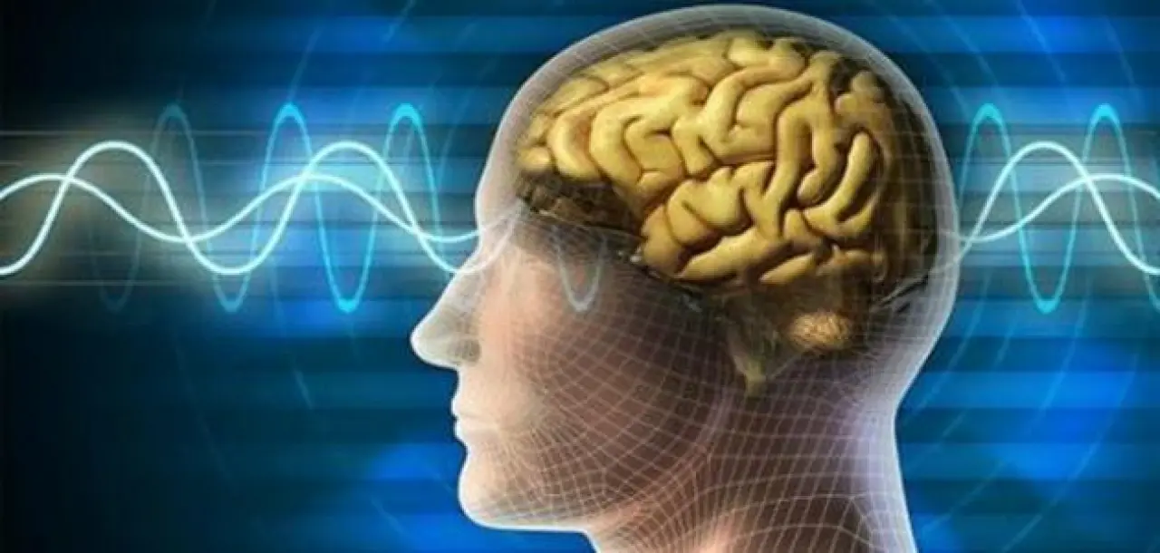 Meğer beynimiz bizi kandırıyormuş! 2