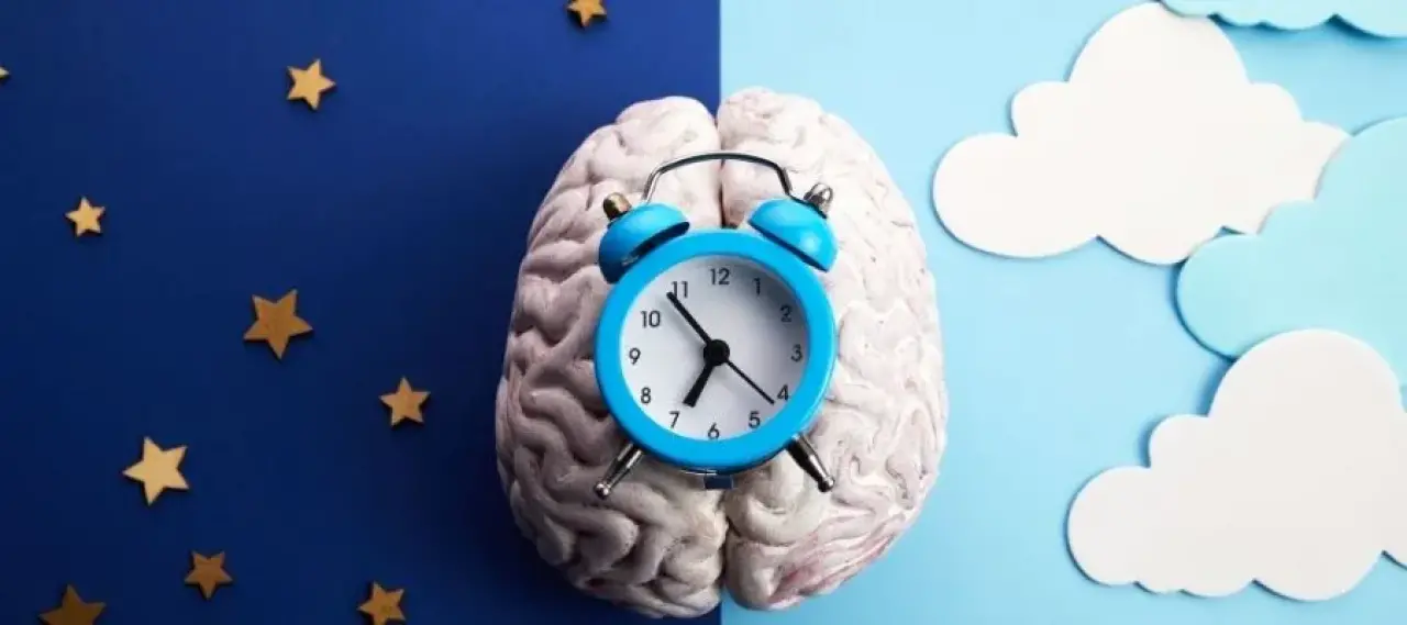 Meğer biyolojik saatimiz mevsimlerle uyumluymuş 1