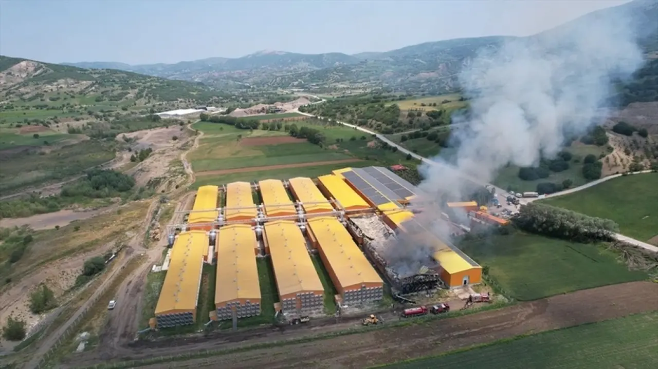 140 binden fazla tavuk etkilendi: Ankara’da yumurta tesisinde felaket 5