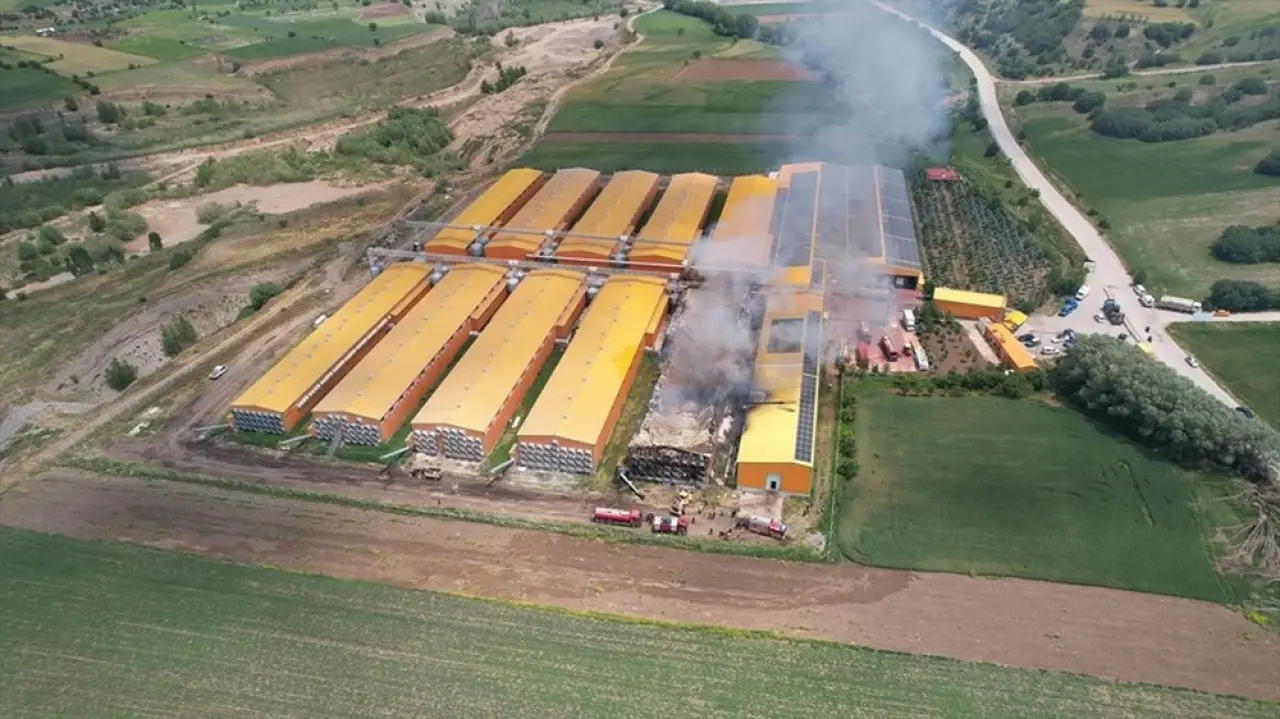 140 binden fazla tavuk etkilendi: Ankara’da yumurta tesisinde felaket 3