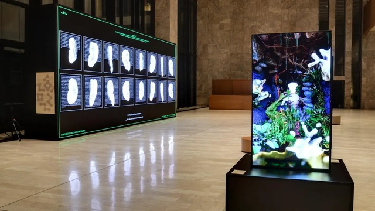 Kültürel Hafıza Dijitalde Can Buluyor 3