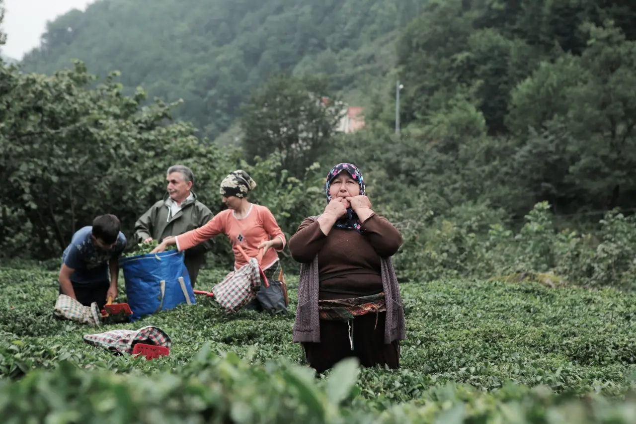 Islıkla gelen miras: Giresun’da kültürlerarası buluşma başlıyor! 1