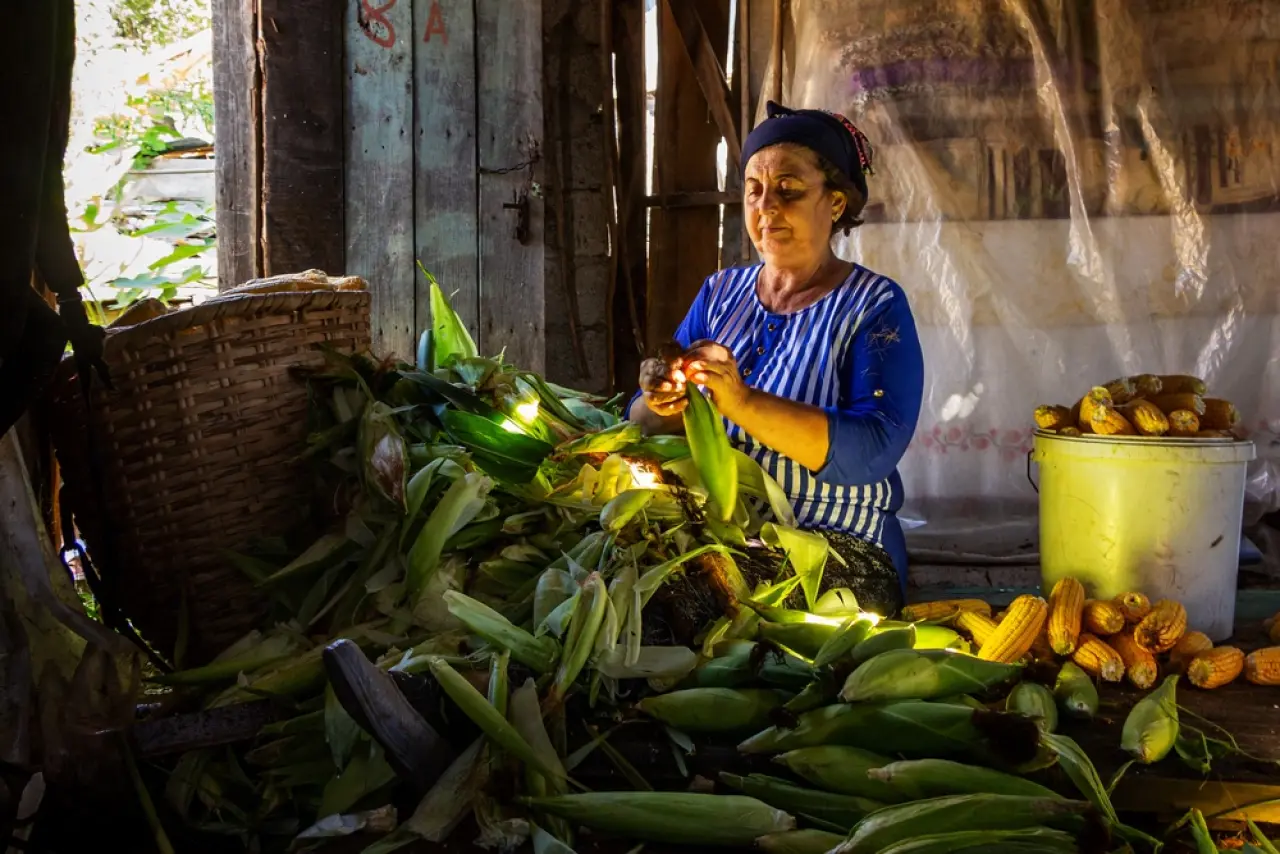 Karadeniz'in sakin cenneti: Ordu 3