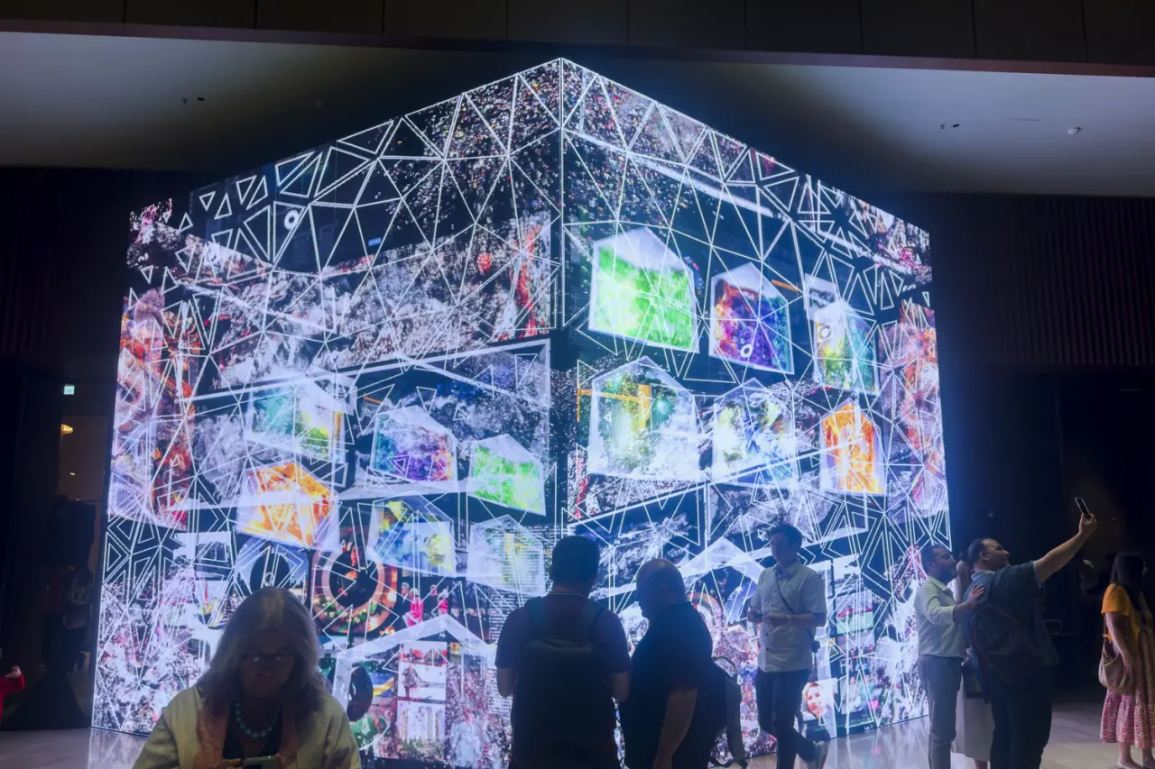 Festivalde 80 Sanatçıdan Dijital Şölen 2