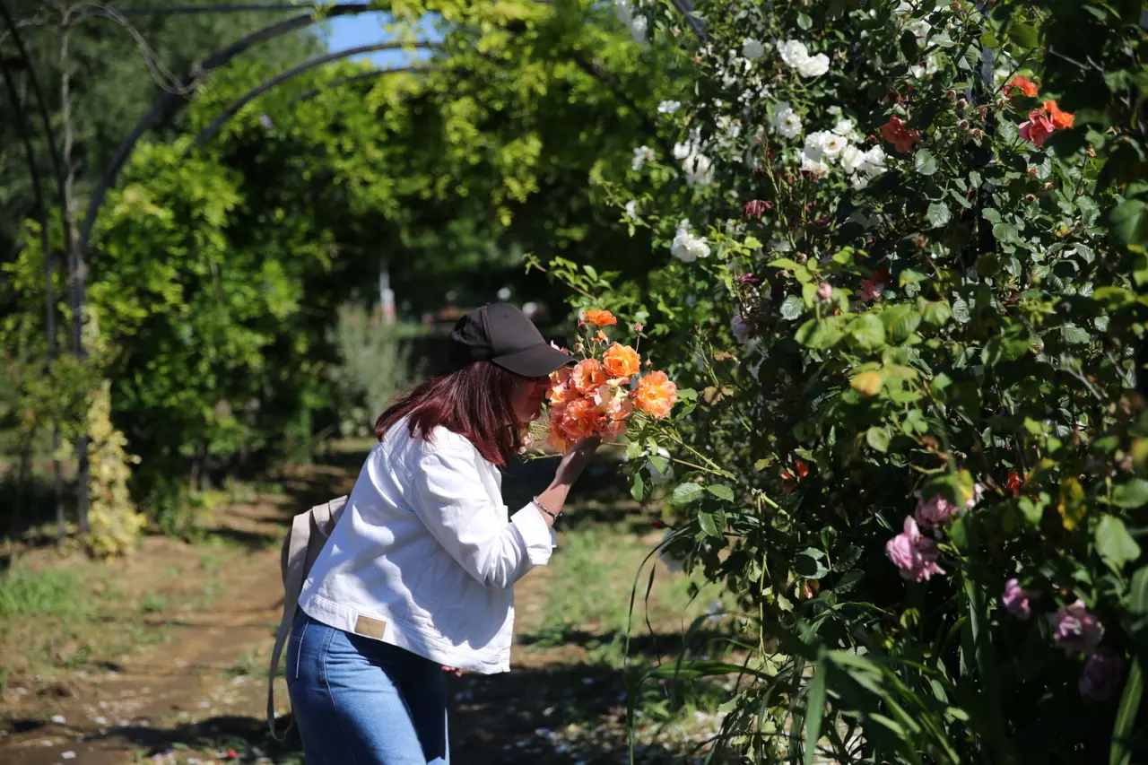 Edirne’de Doğa ve Sanatın Buluştuğu Yeni Mekân: “Koku Tüneli” Büyülüyor 3