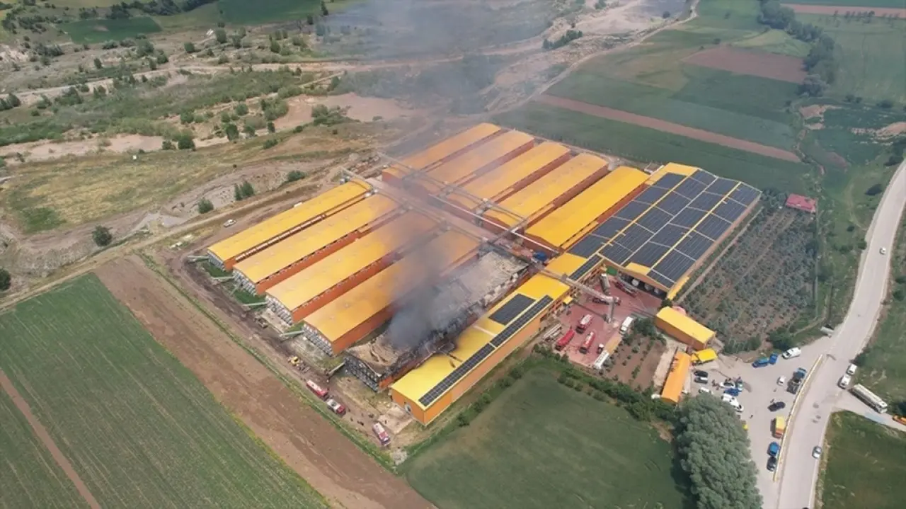 140 binden fazla tavuk etkilendi: Ankara’da yumurta tesisinde felaket 2