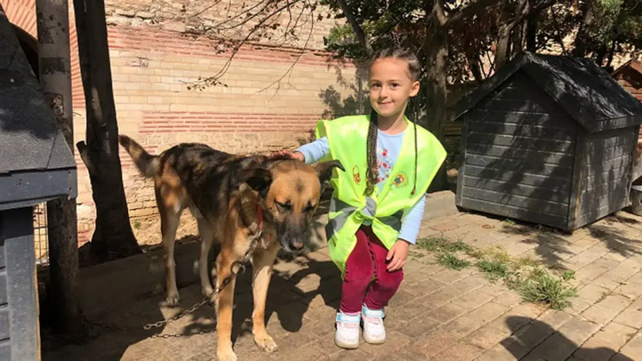 Tatilde hem dinlen hem geliş: Öğrenciler için ipuçları 7